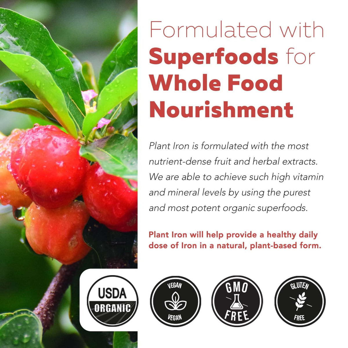 Triquetra Health Complément Alimentaire Fer Biologique 90 Capsules dans un environnement sain