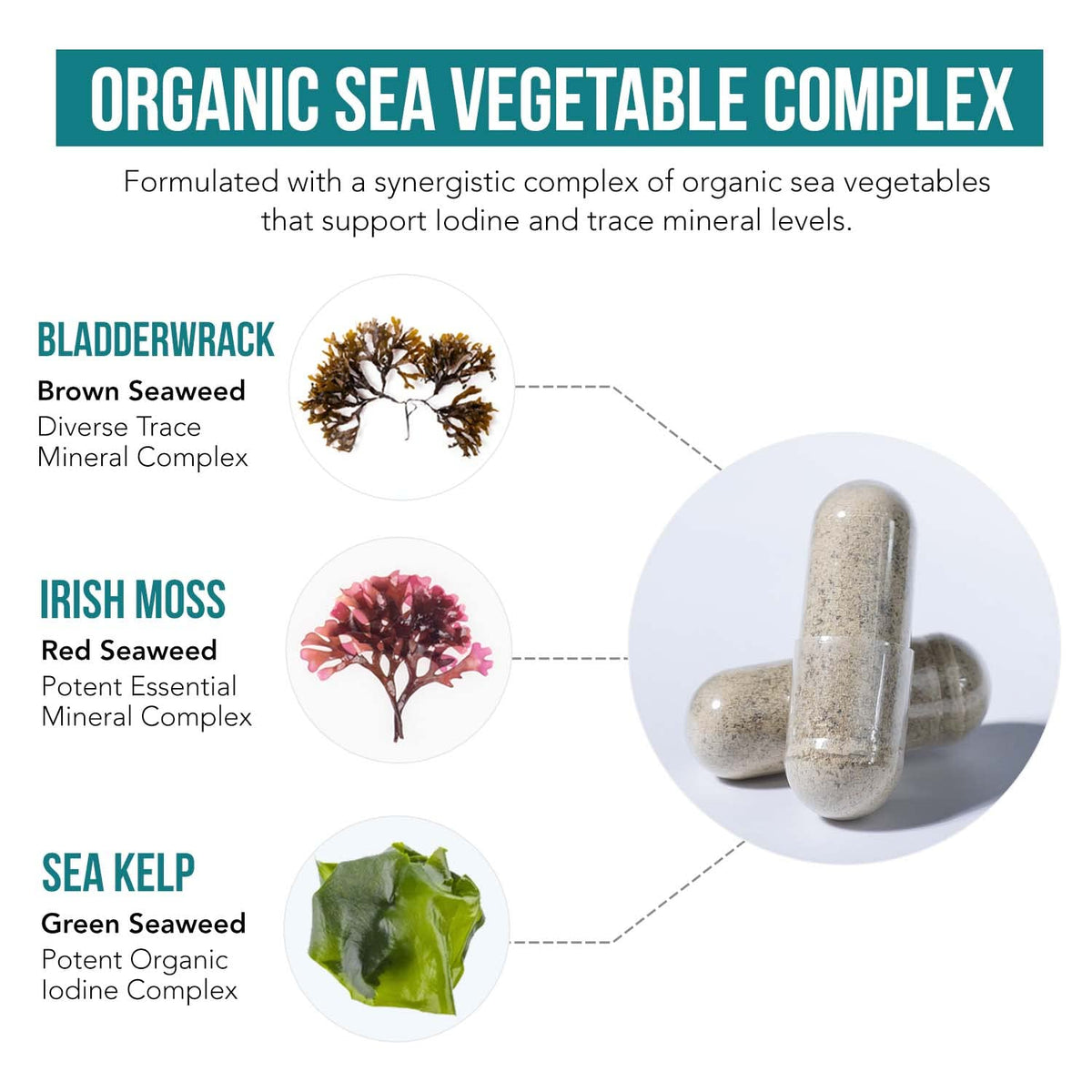 Triquetra Health complément d'iode organique 250 mcg vue de côté