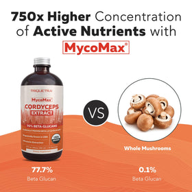 Triquetra Health Extrait de Champignon Cordyceps Bio 449g en cuisine
