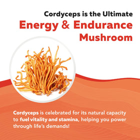 Triquetra Health Extrait de Champignon Cordyceps Bio 449g en verre