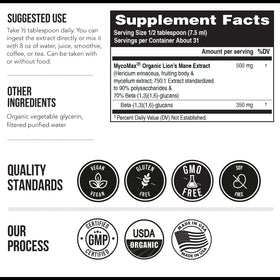 Triquetra Health Extrait de Lion's Mane 500 mg - mise en scène avec des ingrédients naturels