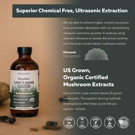 Triquetra Health Extrait de Lion's Mane 500 mg - produit avec une tasse de café