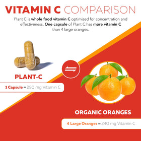 Triquetra Health Vitamine C Organique 250 mg arrière du boîtier