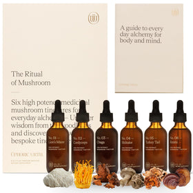 Trousse de teintures de champignons UPHORIC URTH avec six flacons
