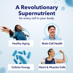 TRU NIAGEN Complément Alimentaire NAD+ 300mg ingrédients