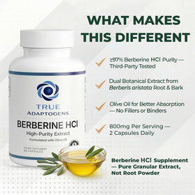 True Adaptogens Berberine HCl 800mg avec huile d'olive