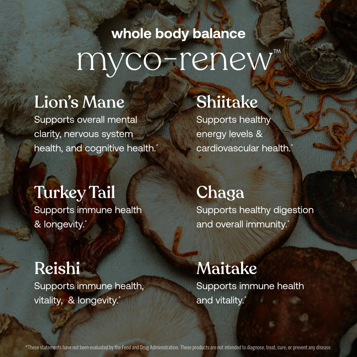 True Grace Myco-Renew Mélange Champignon gélules ouvertes