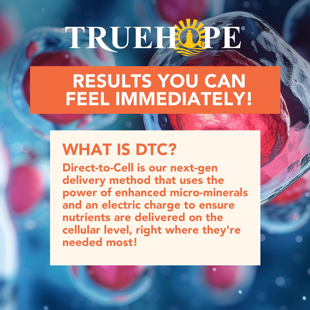 Truehope EMPowerplus Ultimate Sticks présentation