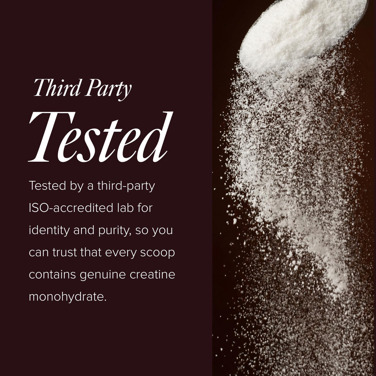 Truvani Poudre de Créatine Monohydrate 490g sur une surface de cuisine