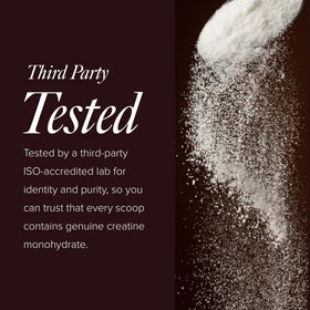Truvani Poudre de Créatine Monohydrate 490g sur une surface de cuisine