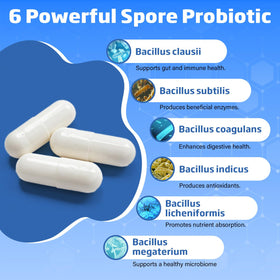 Tylessa Probiotique Sporal capsules à côté d'un verre d'eau