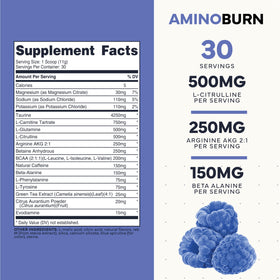 Type Zero Amino Burn Pré-Workout Vegan contenu et portion