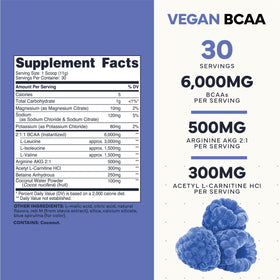 Type Zero Poudre BCAA Vegan Ultra Clean 408g Framboise Bleue packaging