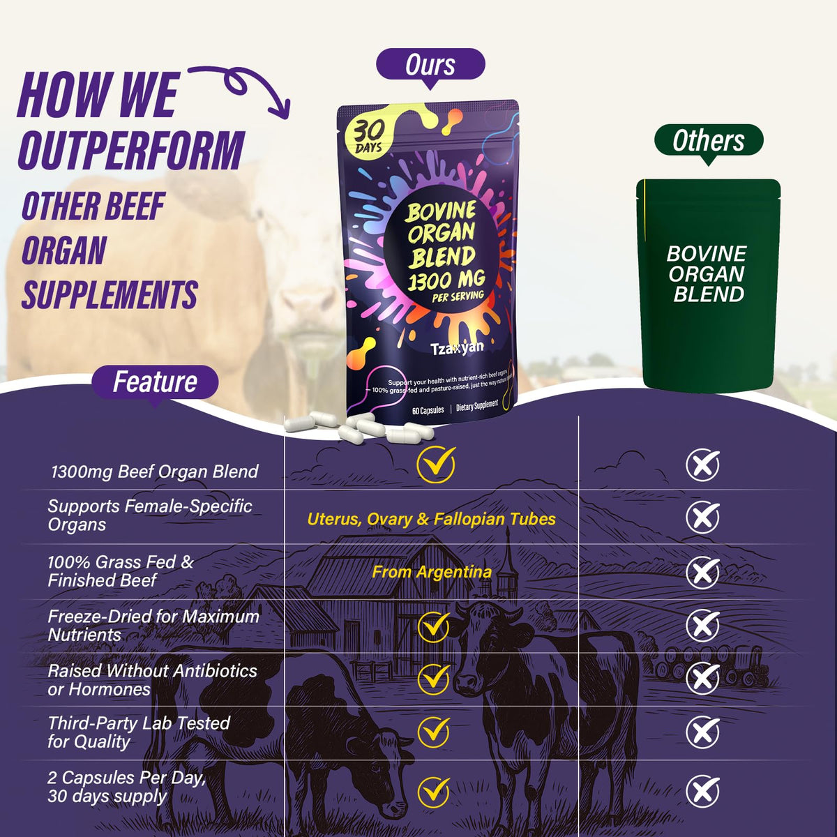 tzaxyan Complément Alimentaire Organes de Boeuf 1300mg, capsules sur une cuillère