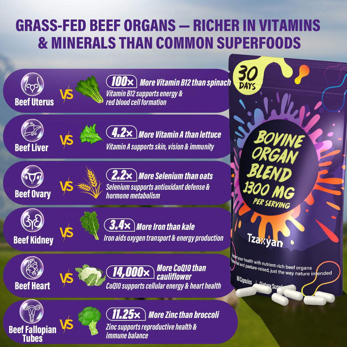 tzaxyan Complément Alimentaire Organes de Boeuf 1300mg, étiquette avec ingrédients