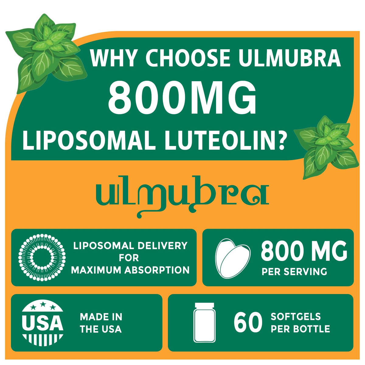 Ulmubra Luthéoline 800MG gélule à côté d'une cuillère