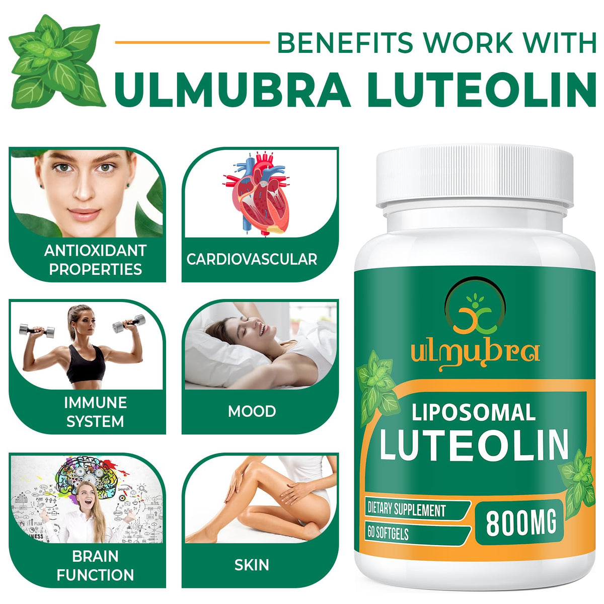 Ulmubra Luthéoline 800MG gélules sur une table en bois