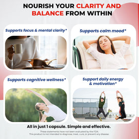 ULTRA HERBS Complément Alimentaire Focus Dopamine 90 Capsules avec étiquette détaillée