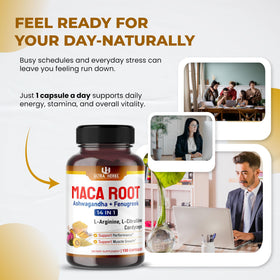 ULTRA HERBS Maca Racine 150 capsules côté droit