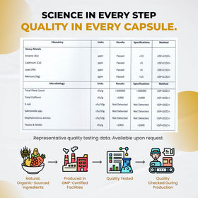 ULTRA HERBS Maca Racine 150 capsules vue arrière