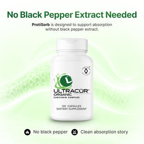 UltraCur capsules de curcuma bio en main sur une surface en bois