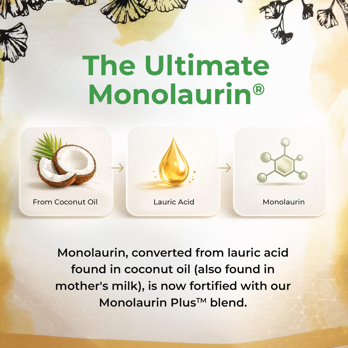 UltraLaurin® Monolaurin 3000 mg ingrédients sur l'emballage