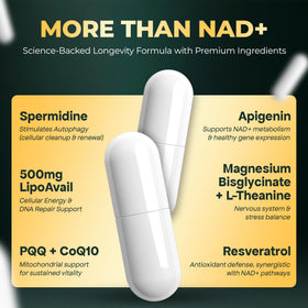 UPLIFE complément NAD+ 1 372mg sur une table
