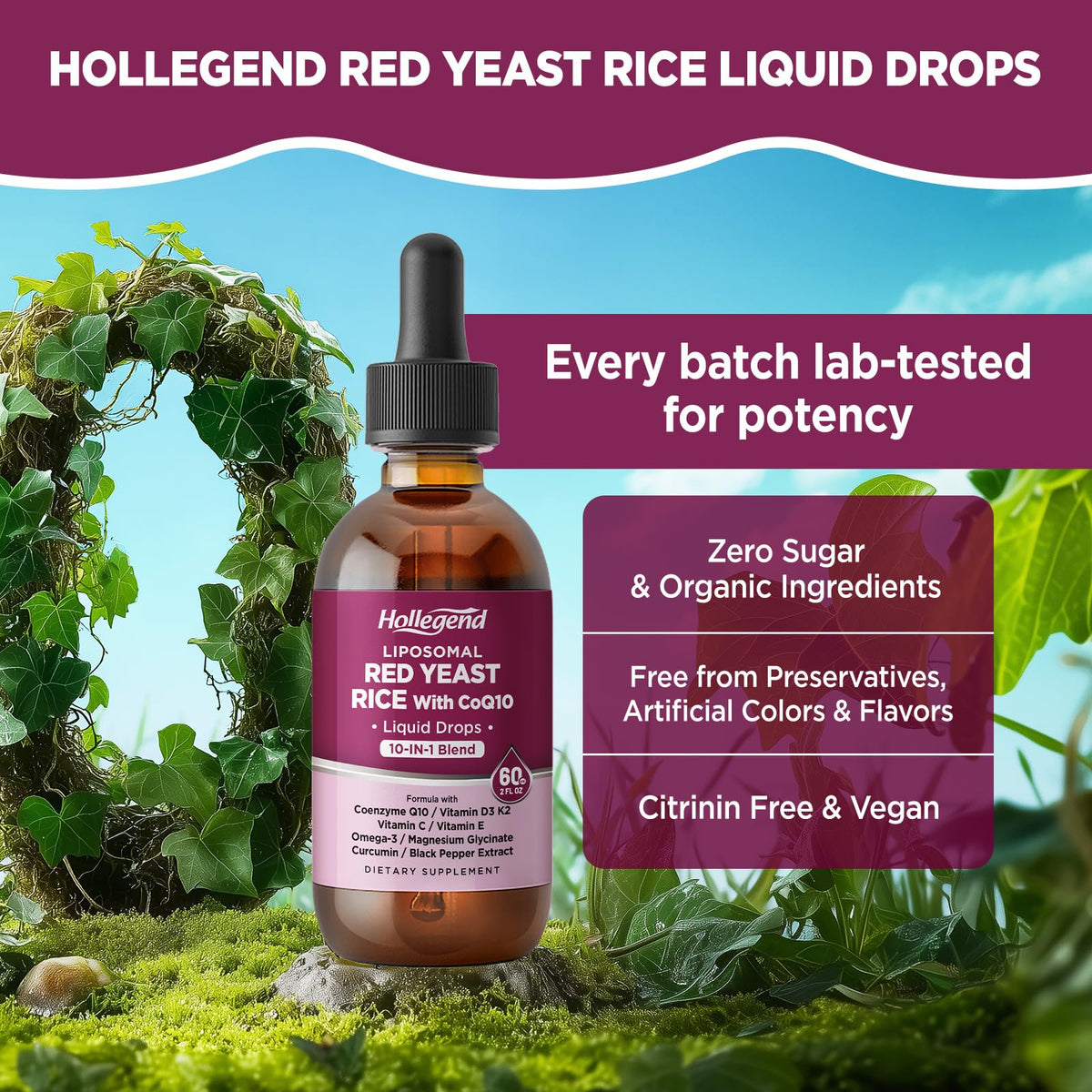 Utilisation de HOLLEGEND Liposomal Red Yeast Rice avec CoQ10 le matin