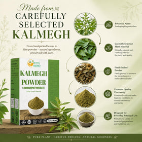 Utilisation de Kalmegh en tisane, tasse avec infusion