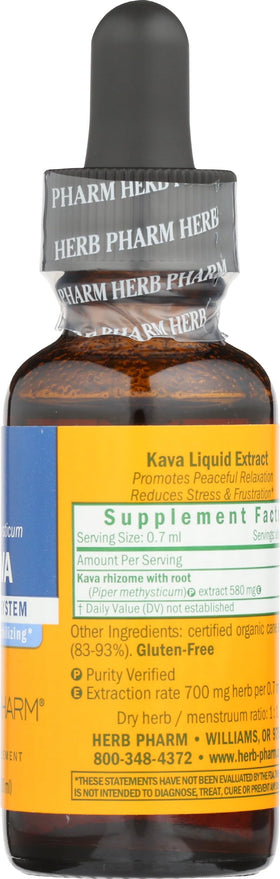 Utilisation de l'extrait de kava avec un verre