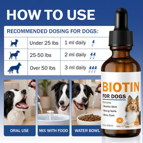 Utilisation de la biotine Besgiful mélangée à la nourriture pour chiens