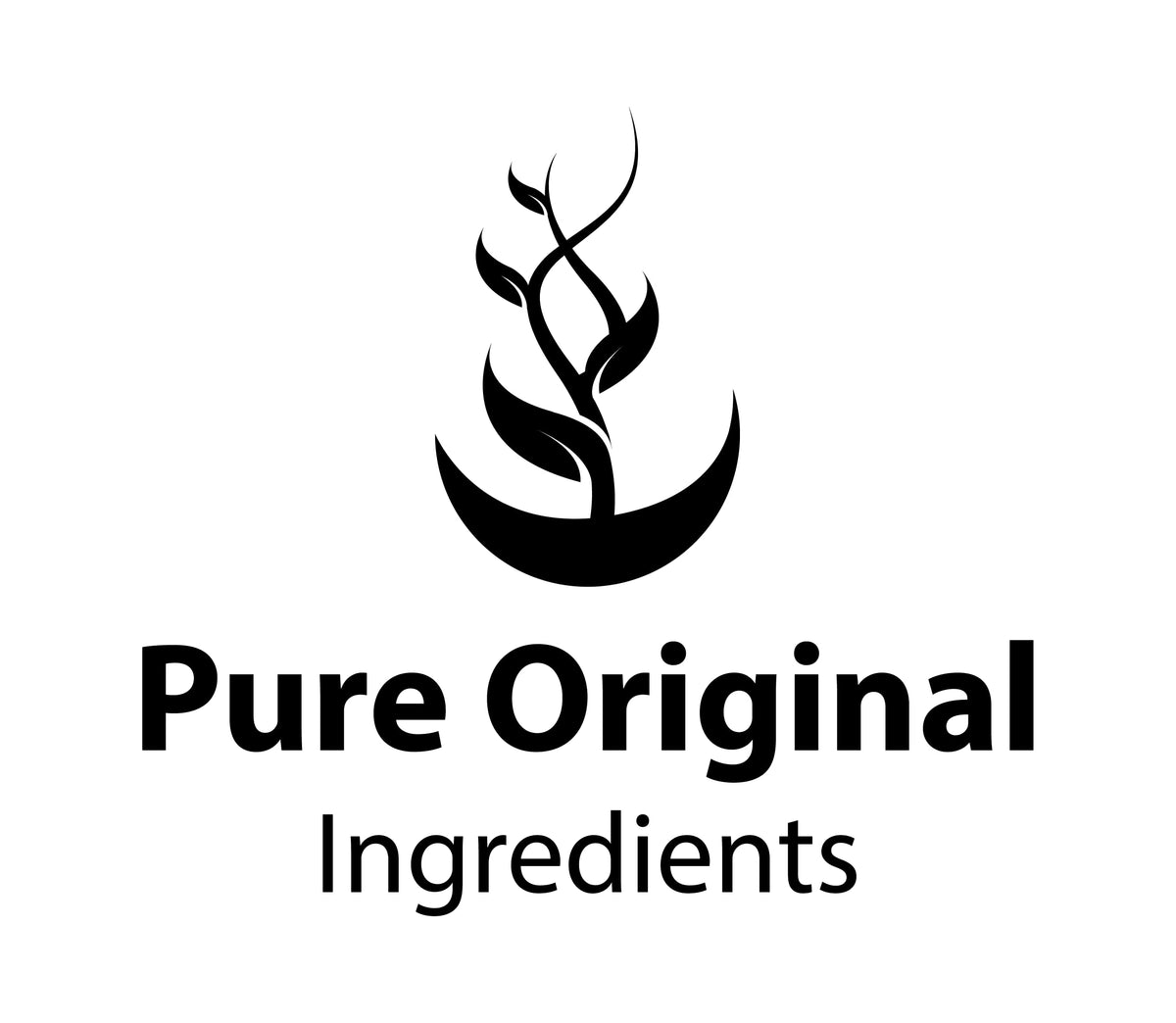 Utilisation de la poudre d'extrait de racine de rehmannia dans un smoothie