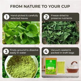 Utilisation de la poudre de Centella Asiatica dans un smoothie