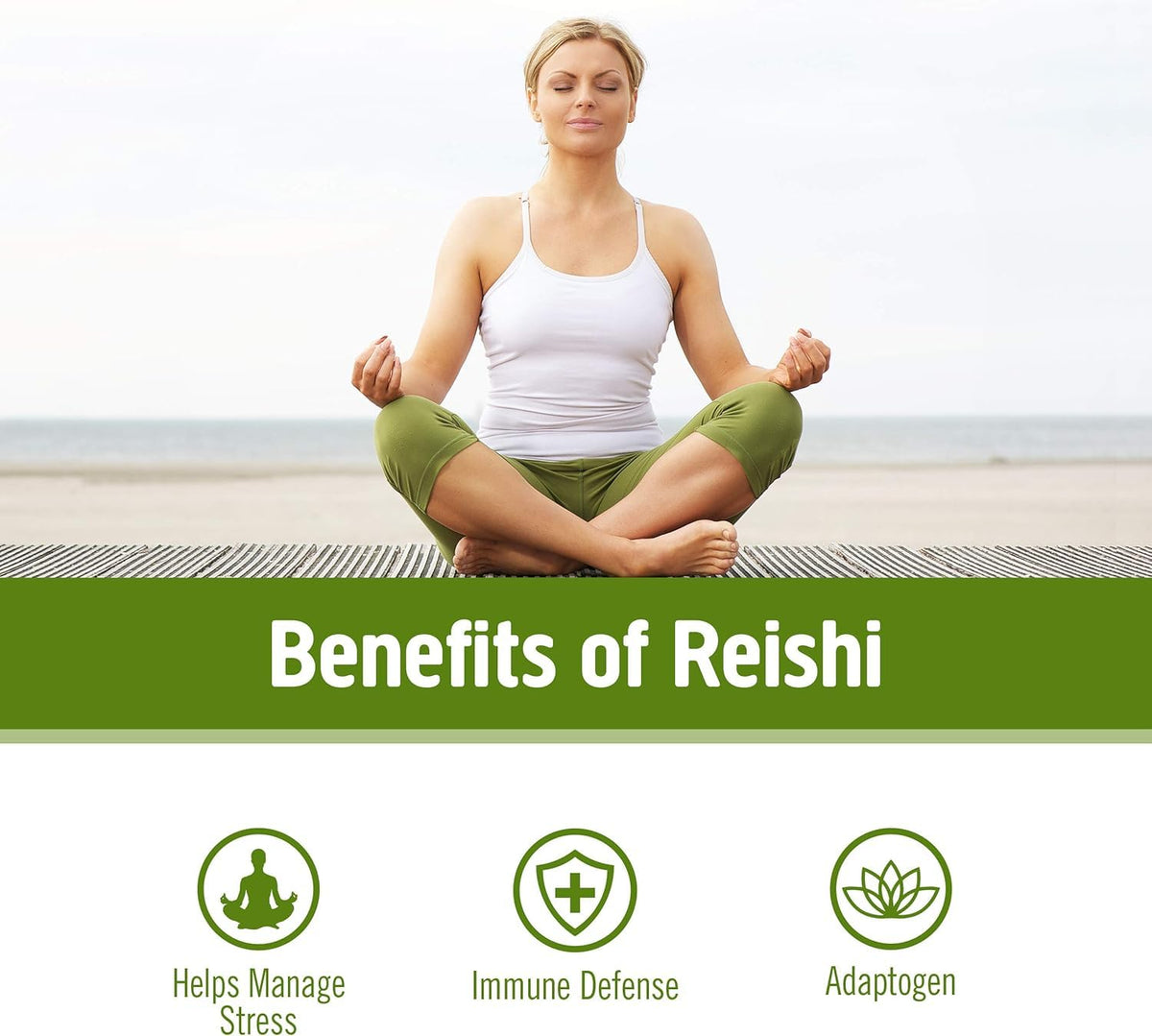 Utilisation de la poudre de champignon Reishi bio dans un smoothie