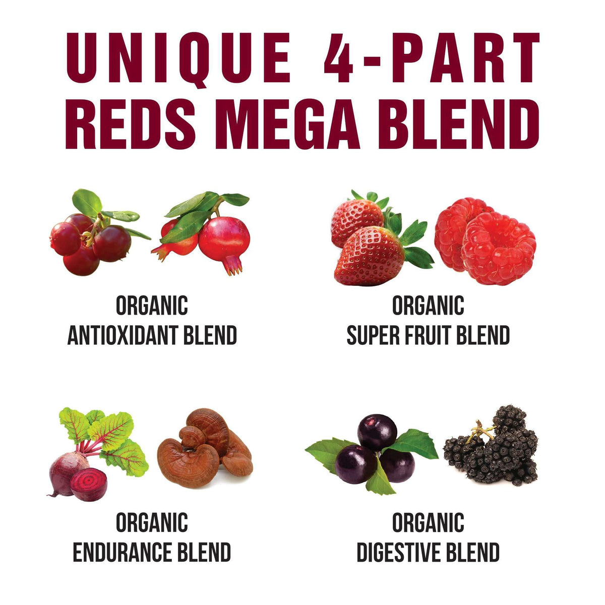 Utilisation de la Poudre Superaliment Rouge Bio Peak Performance dans une recette