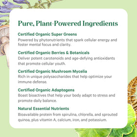 Utilisation de la Poudre Superfood Bio dans un smoothie