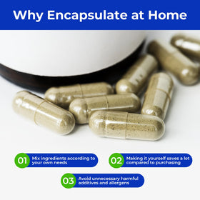 Utilisation des capsules vides ATLEMISME avec des plantes