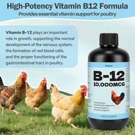 Utilisation du complément alimentaire liquide inqigi avec des poules