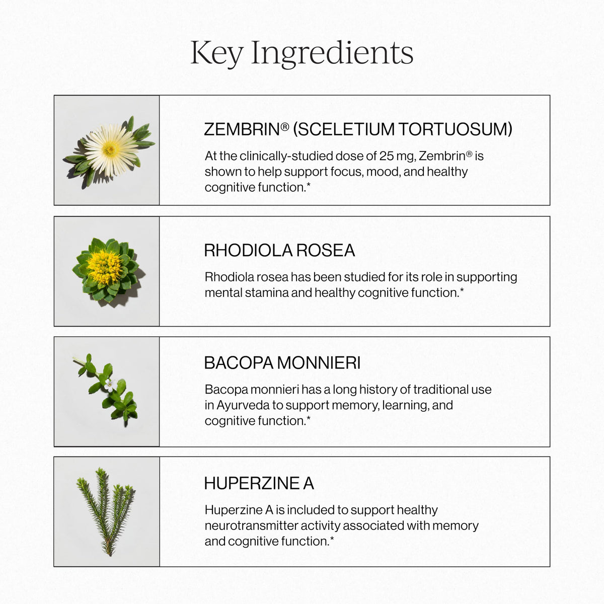 Utilisation du Complexe Cérébral Liposomal CYMBIOTIKA dans un cadre quotidien