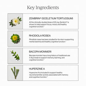 Utilisation du Complexe Cérébral Liposomal CYMBIOTIKA dans un cadre quotidien