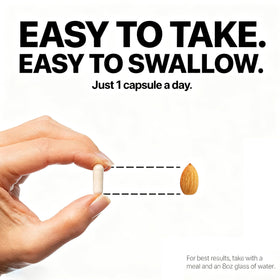 Utilisation quotidienne des capsules xsaucy