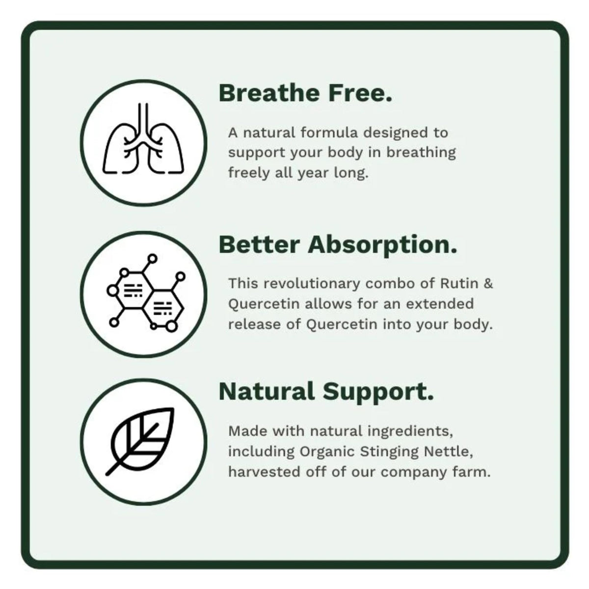 Utzy Naturals Allurtica étiquette avec ingrédients détaillés