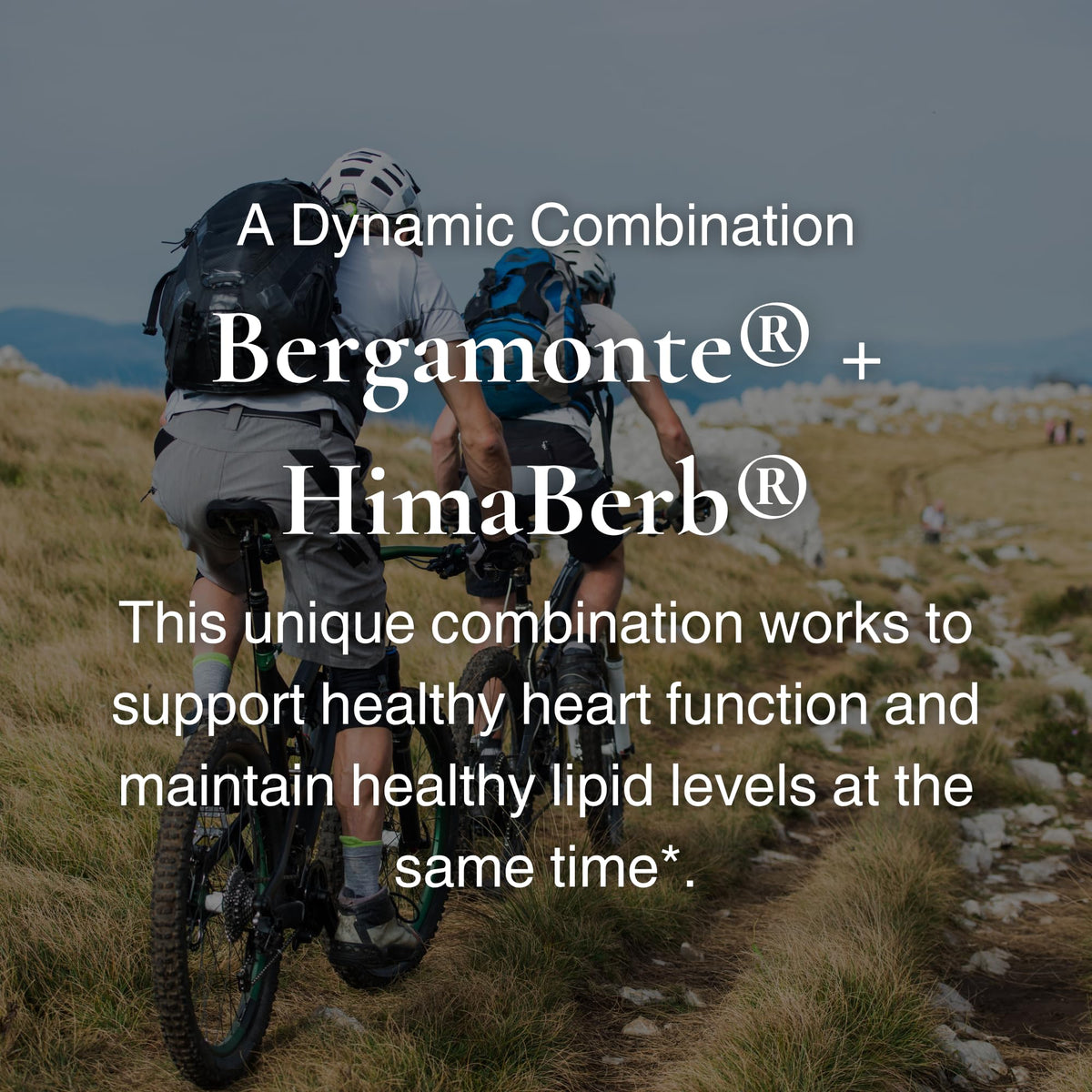 Utzy Naturals Berbercol 500mg Citrus Bergamot capsules on a wooden table