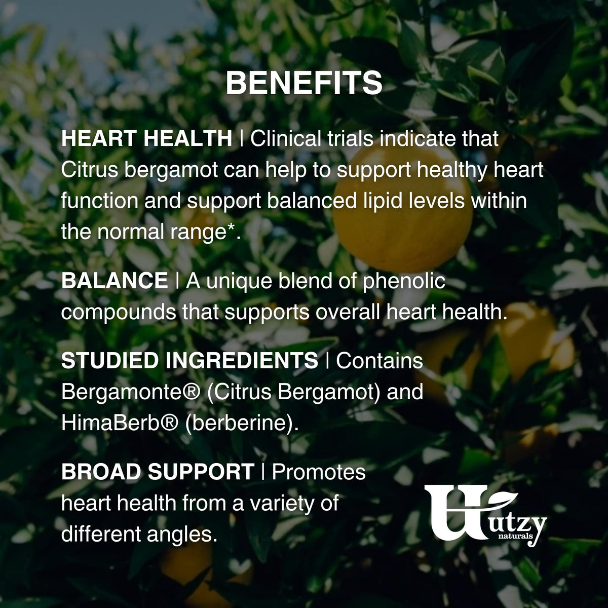 Utzy Naturals Berbercol 500mg Citrus Bergamot capsules with measuring spoon