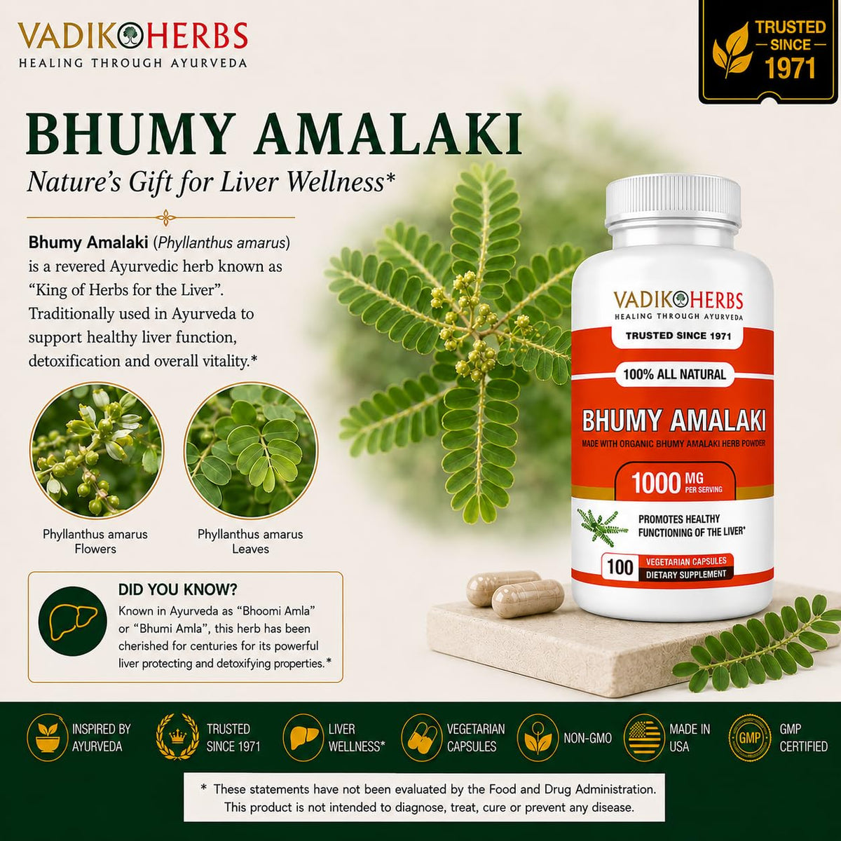 Vadik Herbs Bhumy Amalaki capsules 1000mg avec verre d'eau