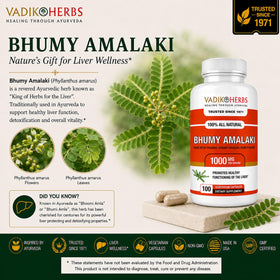 Vadik Herbs Bhumy Amalaki capsules 1000mg avec verre d'eau