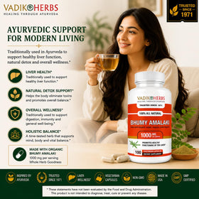 Vadik Herbs Bhumy Amalaki capsules 1000mg ingrédients