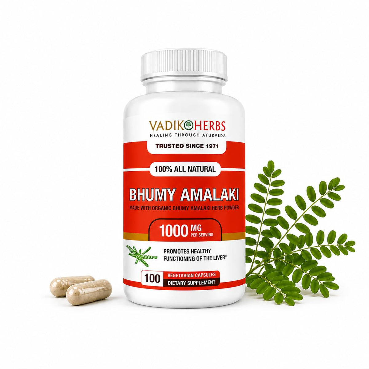 Vadik Herbs Bhumy Amalaki capsules 1000mg vue avant