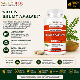 Vadik Herbs Bhumy Amalaki capsules 1000mg vue latérale
