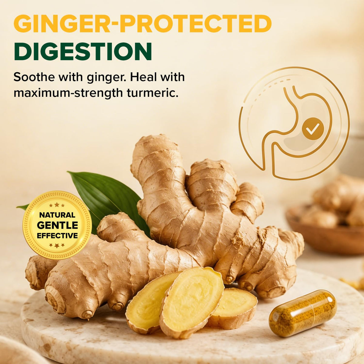 VAHDAM Curcuma Gingembre 1500mg avec ingrédients naturels en arrière-plan